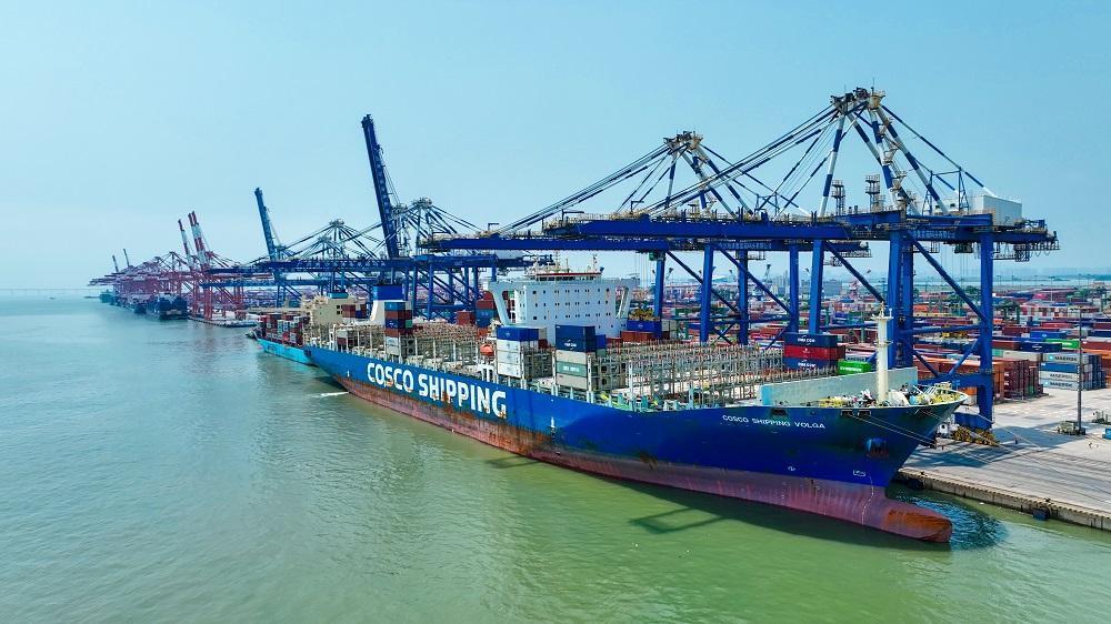 “中远海运伏尔加”轮靠泊在广州港南沙二期码头。 广州港集团 供图